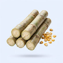Xylooligosaccharides (XOS)