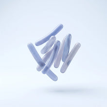Lactobacillus Casei