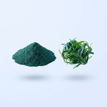 Organic Spirulina Powder (Arthrospira platensis)