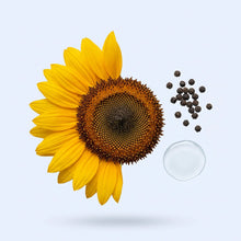 Liposomal Delivery System