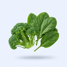 Alpha Lipoic Acid