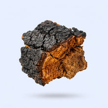 Chaga Mushroom Extract