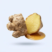 Ginger Root Extract