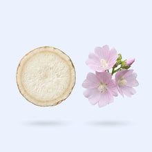 Marshmallow Root Extract