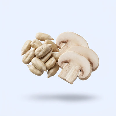 Nicotinamide Riboside