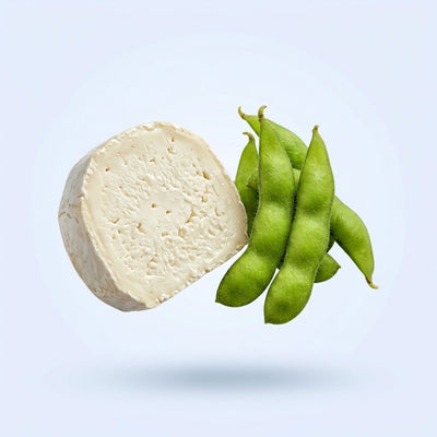 Nicotinamide Riboside (NR)