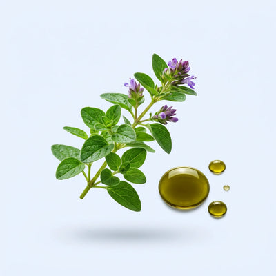 Wild Oregano Oil