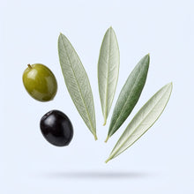 Olive Leaf Extract