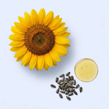 Phosphatidylcholine (from Sunflower Lecithin)