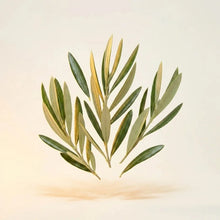 Olive Leaf Extract