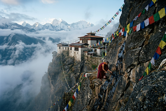 Shilajit and Adaptogen Complex: Ultimate Guide to Natural Energy and Stress Support