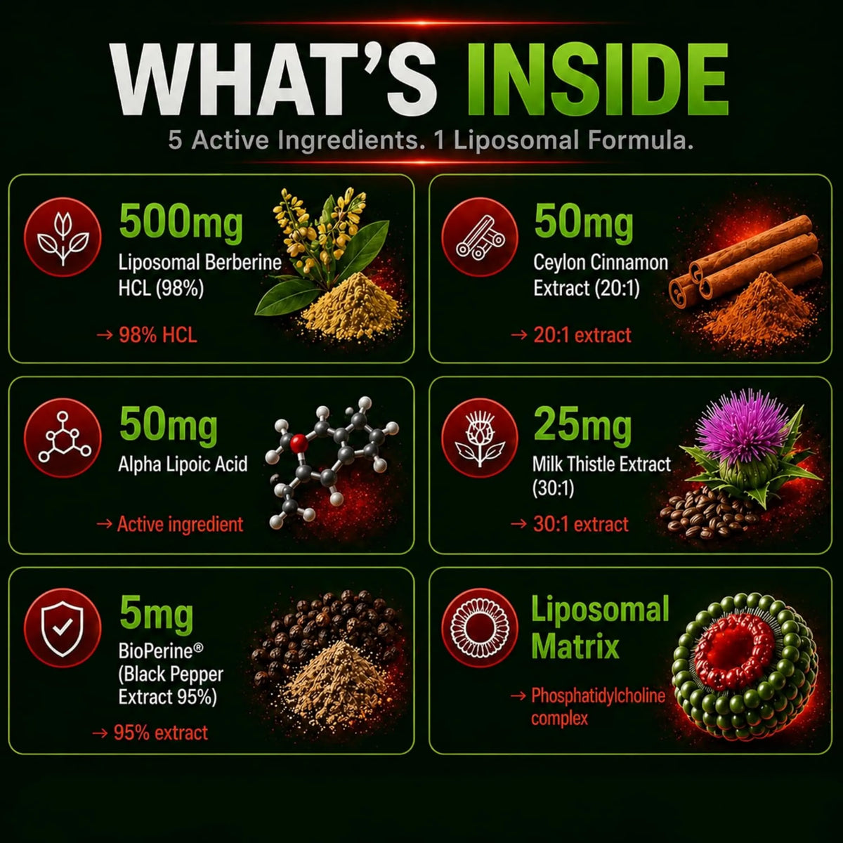 Liposomal Berberine 500mg – Ceylon Cinnamon, ALA & Milk Thistle