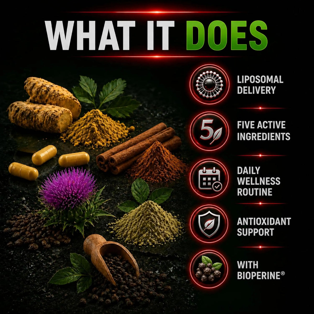 Liposomal Berberine 500mg – Ceylon Cinnamon, ALA & Milk Thistle