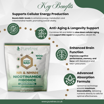 Liposomal NAD+ NR & NMNH Complex