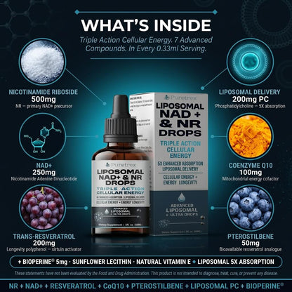 Liposomal NAD+ & NR Drops – Triple Action Cellular Energy with Enhanced Absorption