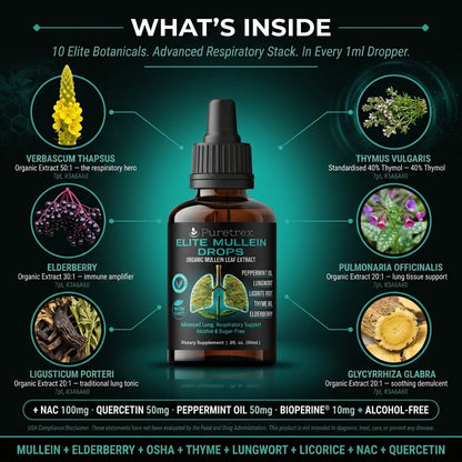 Elite Mullein Drops – Organic Mullein Leaf with Peppermint, Lungwort & Thyme