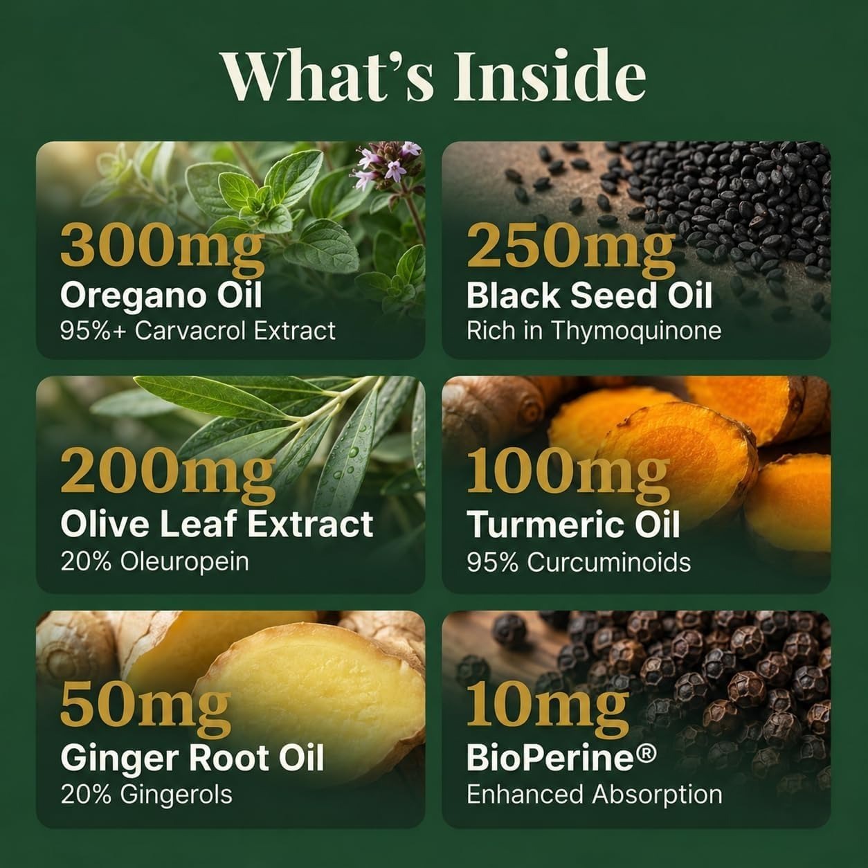 Wild Oil of Oregano 6000mg – 95% Carvacrol with Black Seed Oil & Turmeric | 60 Softgels