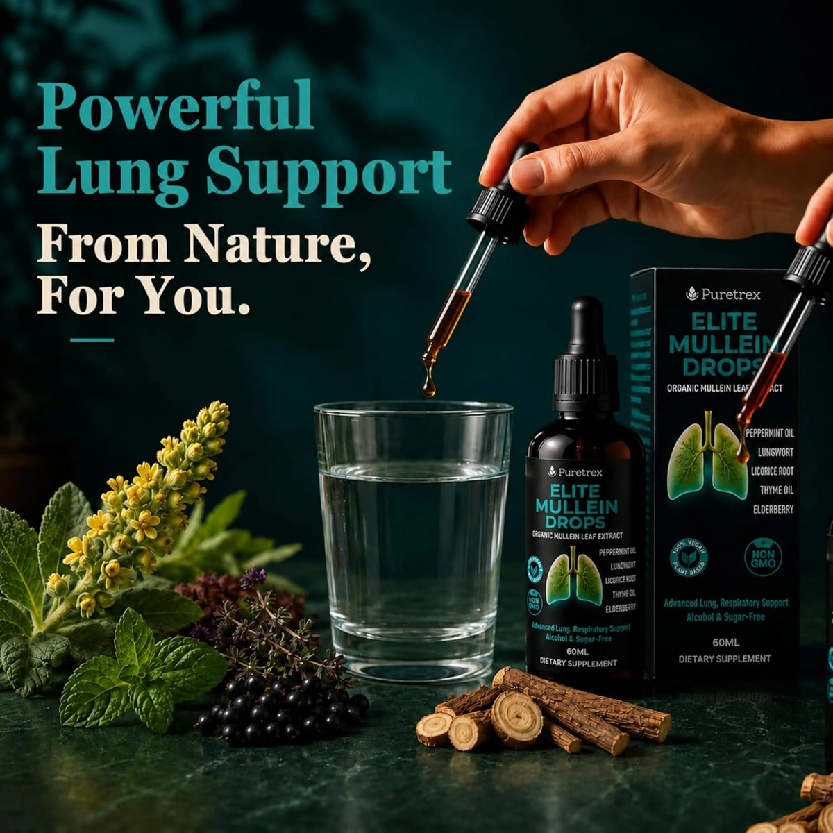 Elite Mullein Drops – Organic Mullein Leaf with Peppermint, Lungwort & Thyme