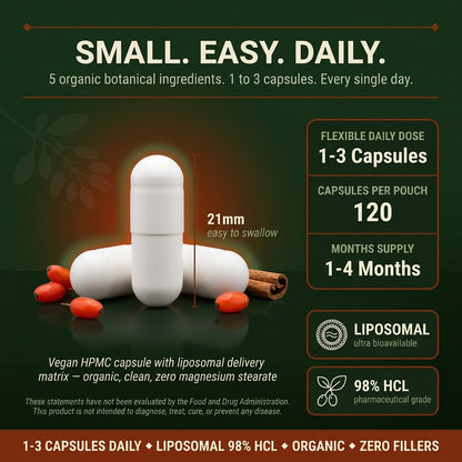 Liposomal Berberine 500mg – Ceylon Cinnamon, ALA & Milk Thistle