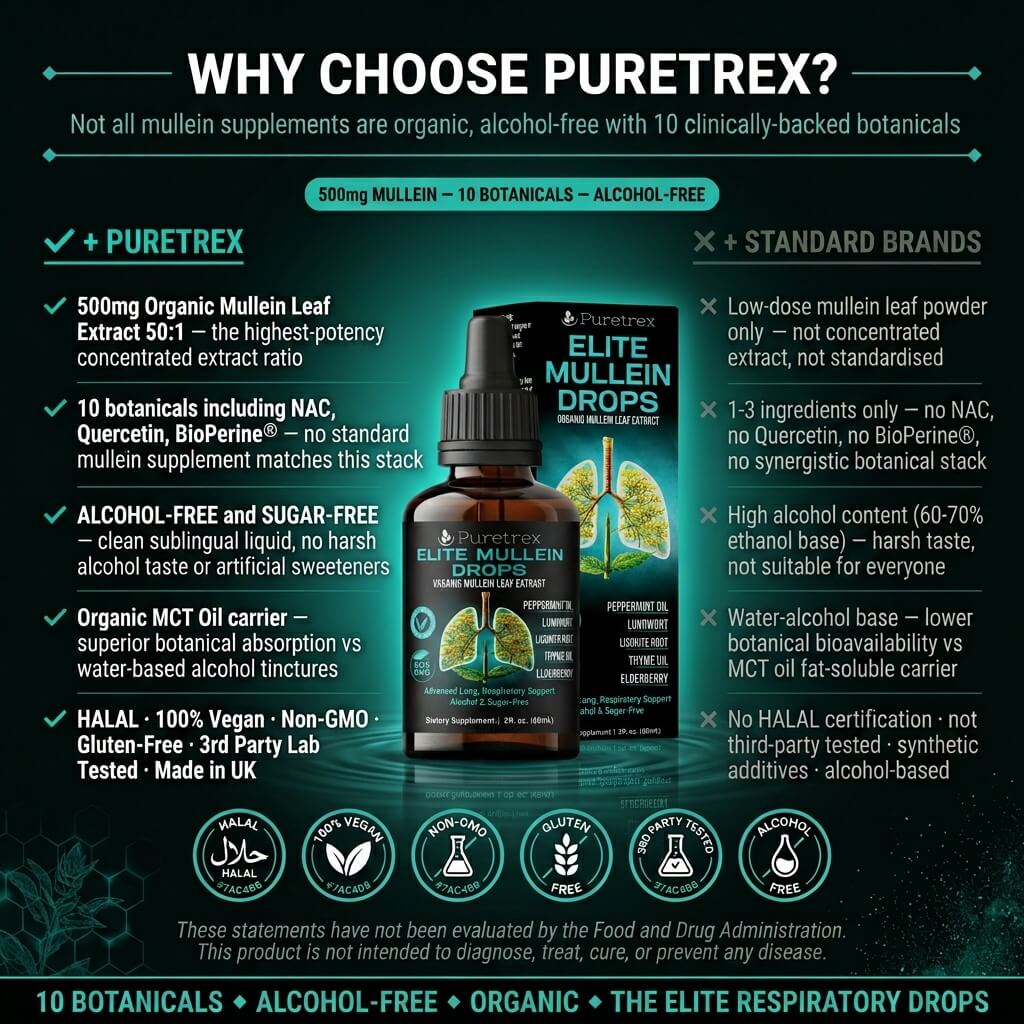 Elite Mullein Drops – Organic Mullein Leaf with Peppermint, Lungwort & Thyme