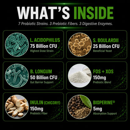 300 Billion CFU Probiotic & Prebiotic – Multi-Strain Synbiotic Ultra Formula