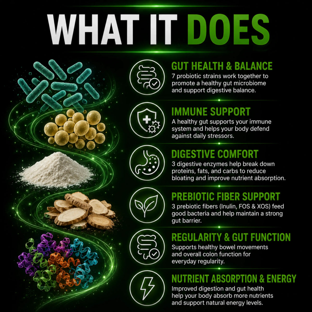 300 Billion CFU Probiotic & Prebiotic – Multi-Strain Synbiotic Ultra Formula