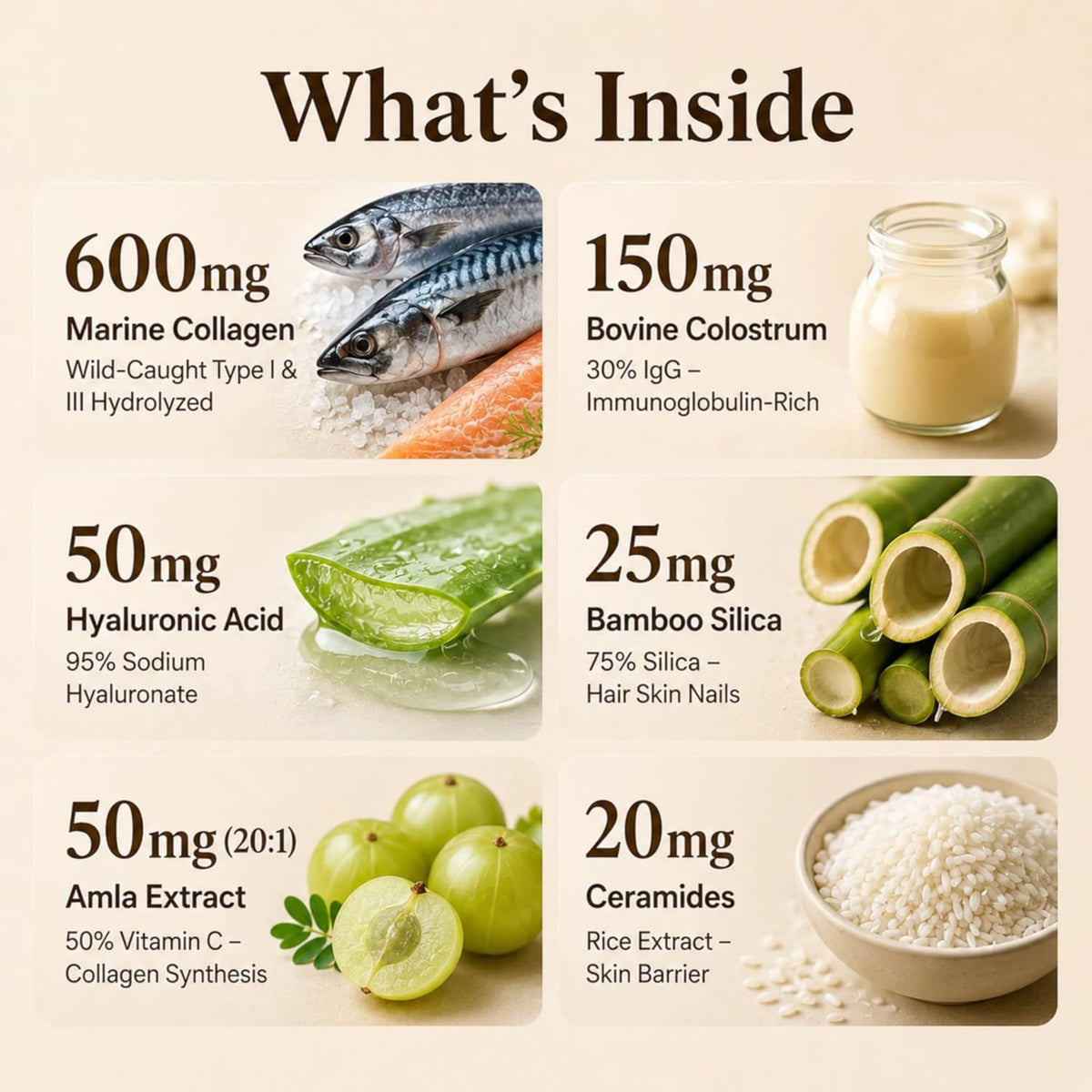 Wild Marine Collagen Peptides + Bovine Colostrum – Hyaluronic Acid & BioPerine®