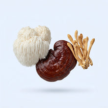 Cognitive Support Complex