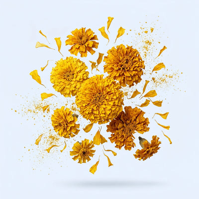 Lutein