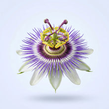 Passionflower Extract