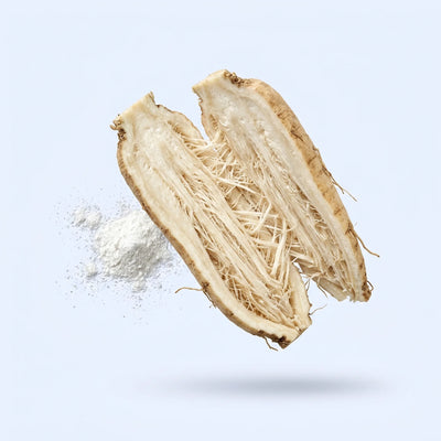 Inulin from chicory root prebiotic fibre