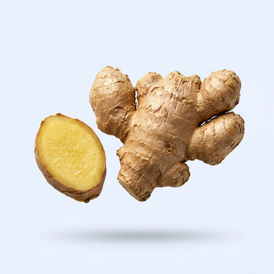 Ginger root extract 10:1 concentrated