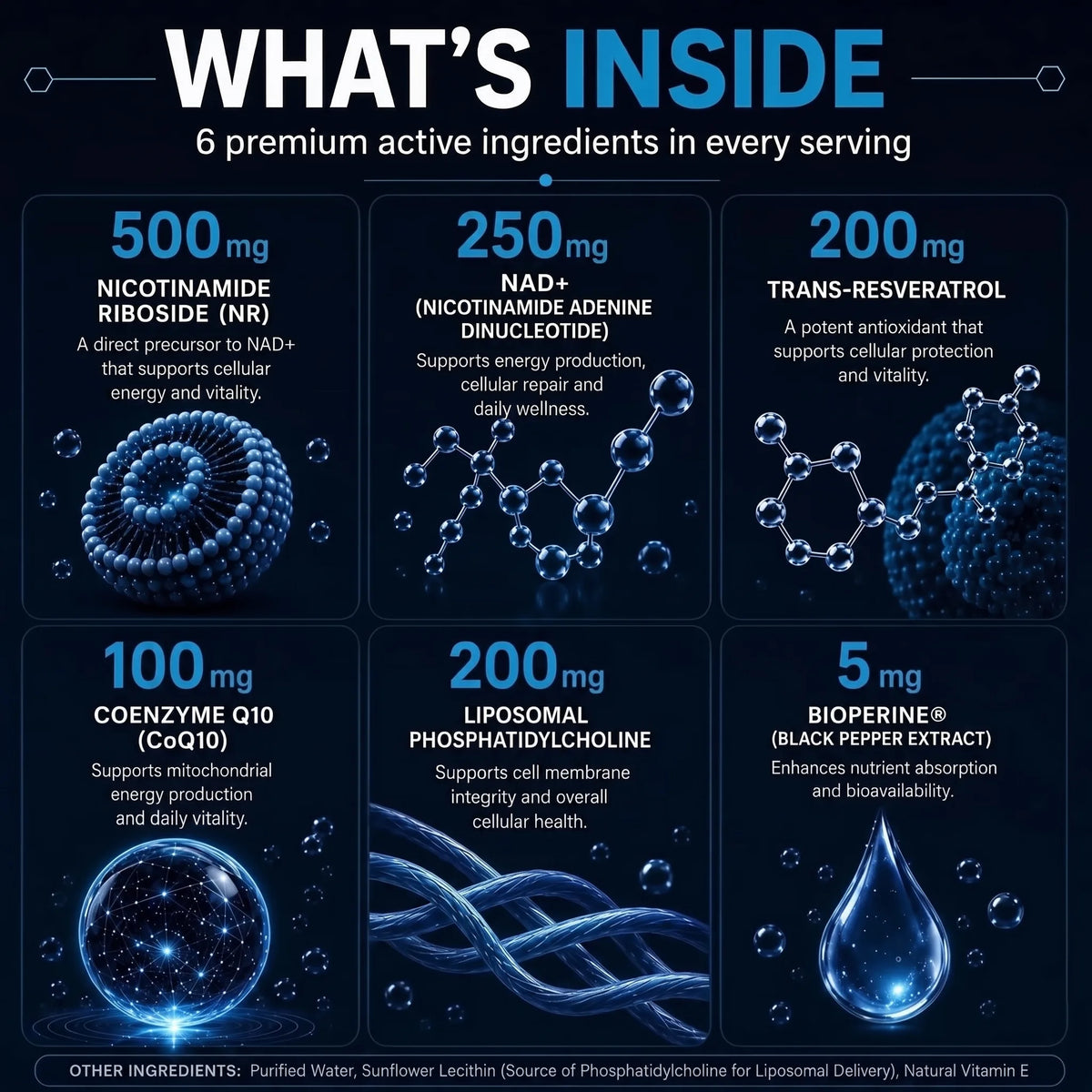 Liposomal NAD+ & NR Drops – Triple Action