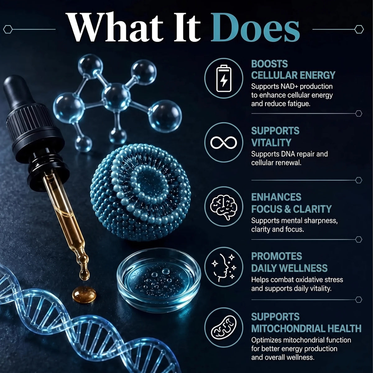Liposomal NAD+ & NR Drops – Triple Action
