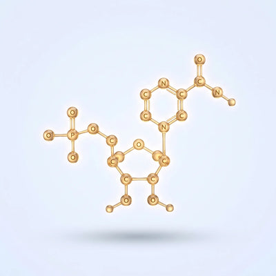 NMN (Nicotinamide Mononucleotide)