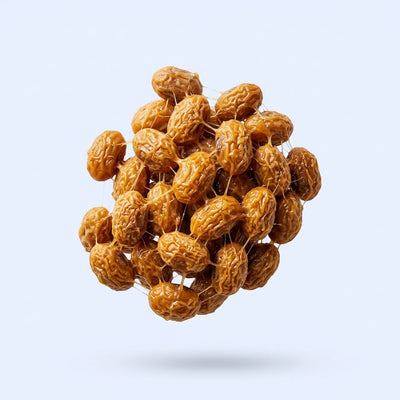 Liposomal Nattokinase (NSK-SD)