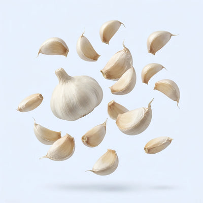 Garlic extract
