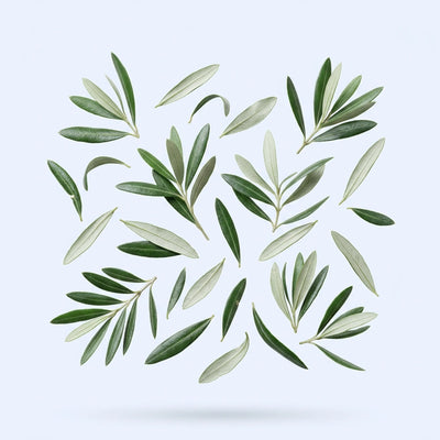 Olive leaf extract