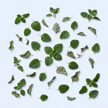 Oregano Leaf Extract (10:1)