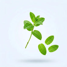 Peppermint Extract