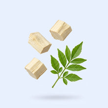 Quassia Extract