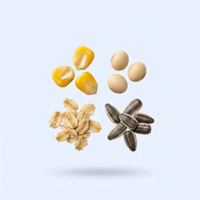 Plant Sterol Complex