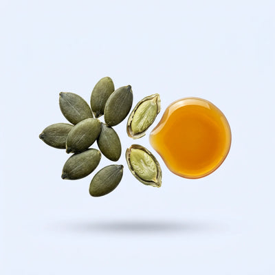 Pumpkin Seed Oil Extract