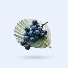 Saw Palmetto Extract