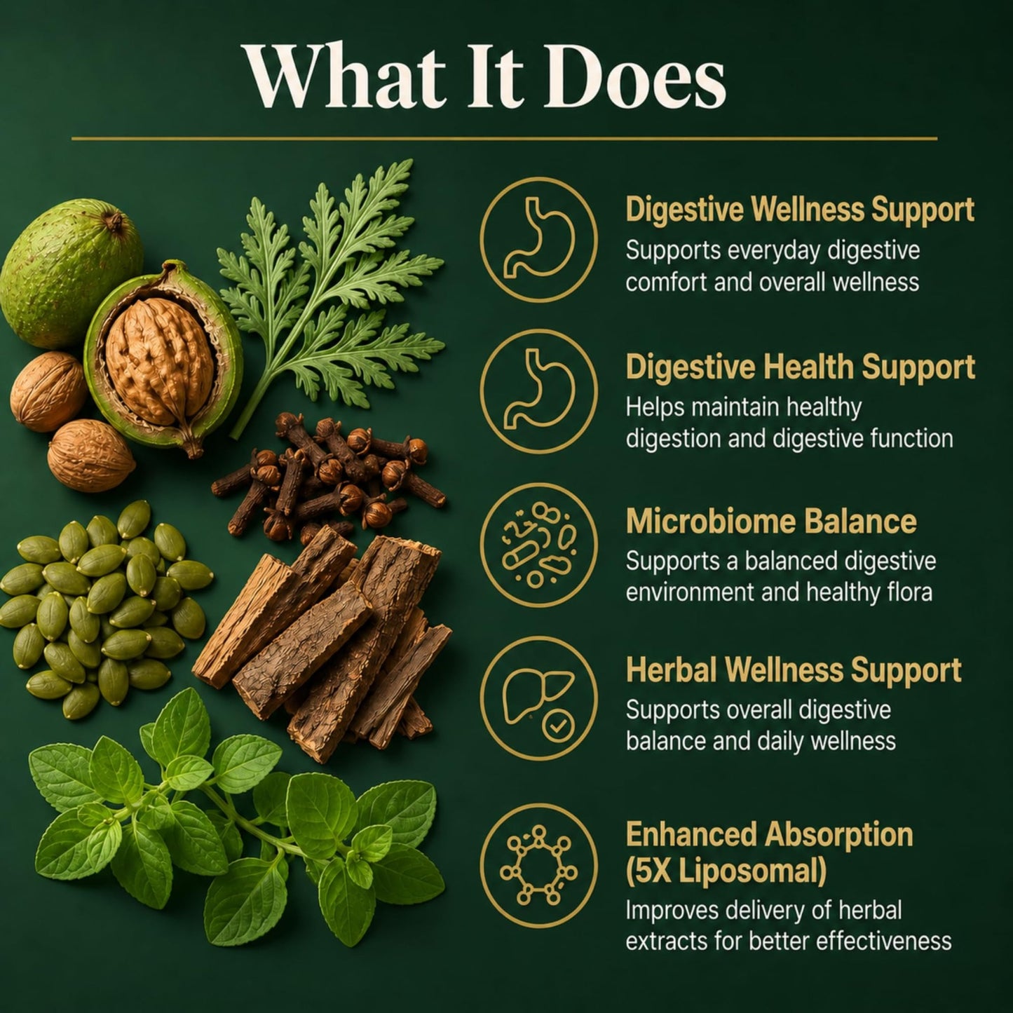 Liposomal Herbal Gut Support Drops – Advanced Digestive Support