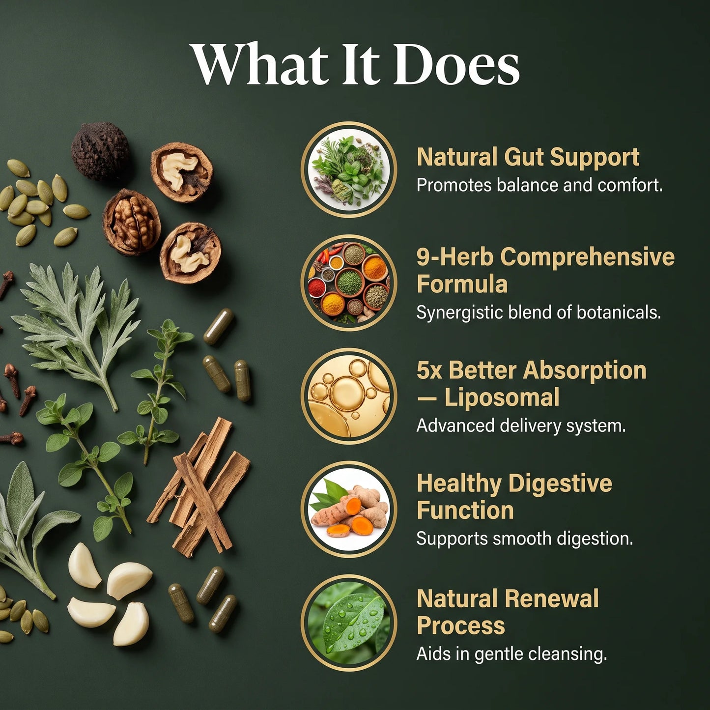 Wormwood Black Walnut & Oregano Capsules - Liposomal Herbal Complex
