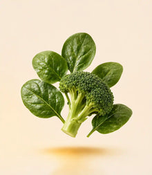 Alpha Lipoic Acid