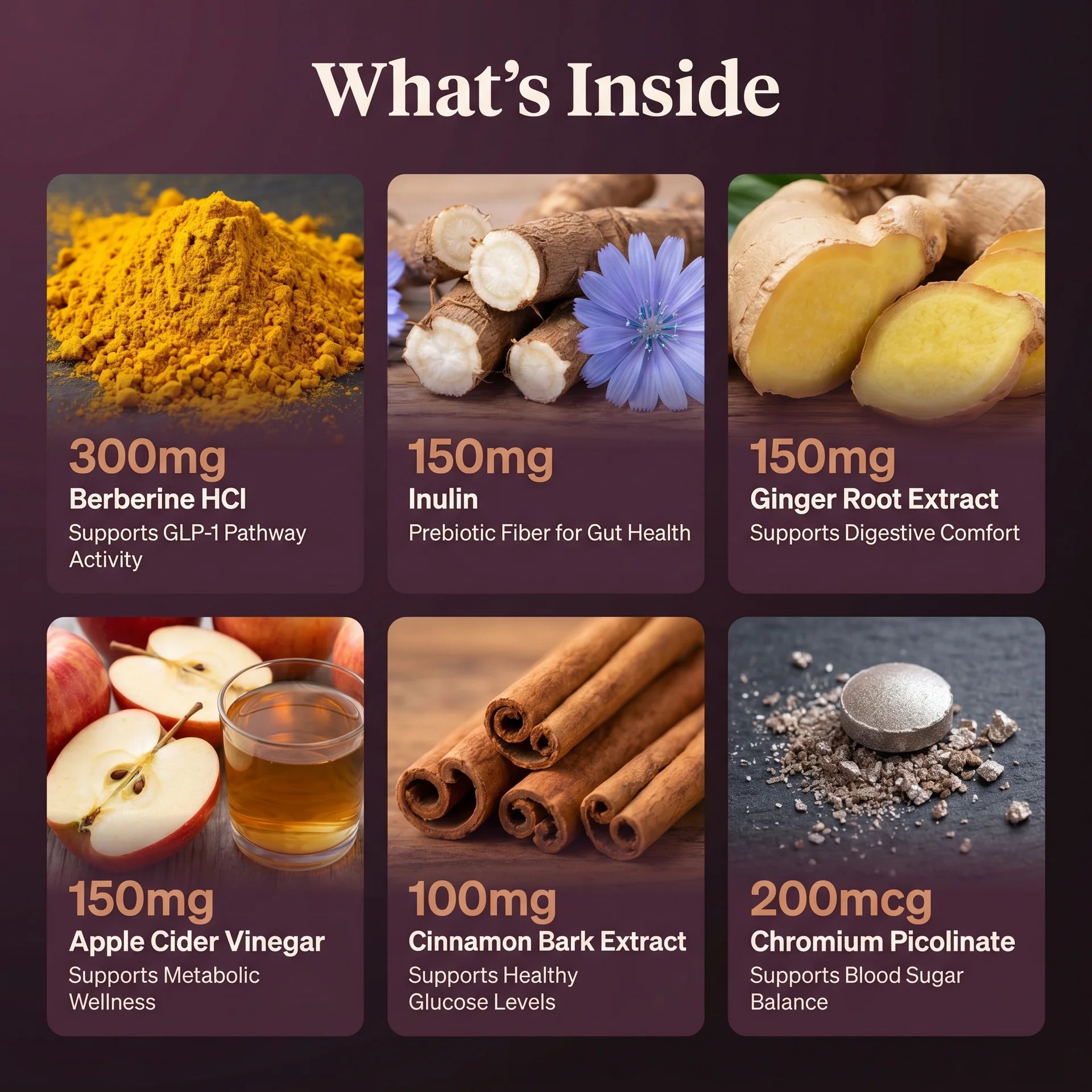 GLP-1 pathway support ingredients: 300mg berberine HCl, 150mg inulin, 150mg ginger root, apple cider vinegar, cinnamon bark and chromium picolinate.