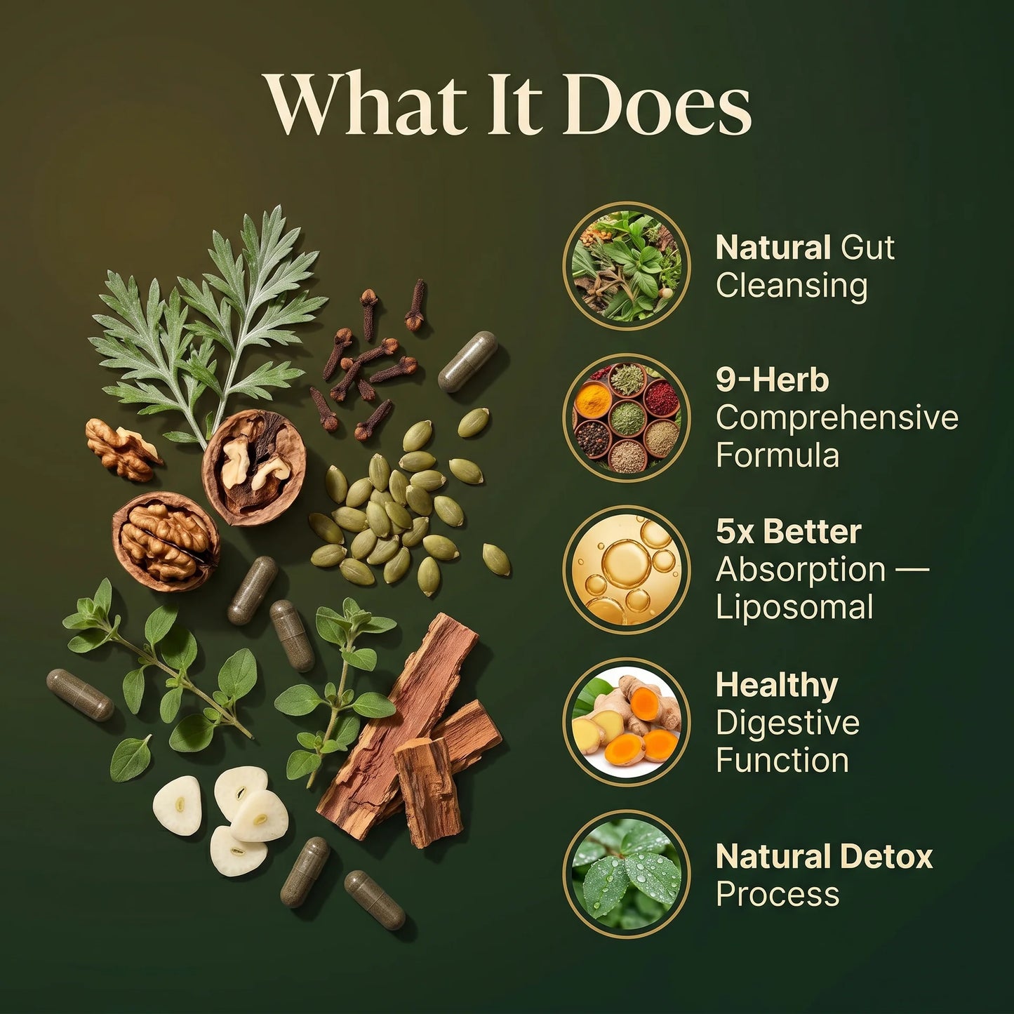 Liposomal herbal parasite and gut detox supplement benefits: natural gut cleansing, 9-herb formula, 5x better absorption and healthy digestive function.