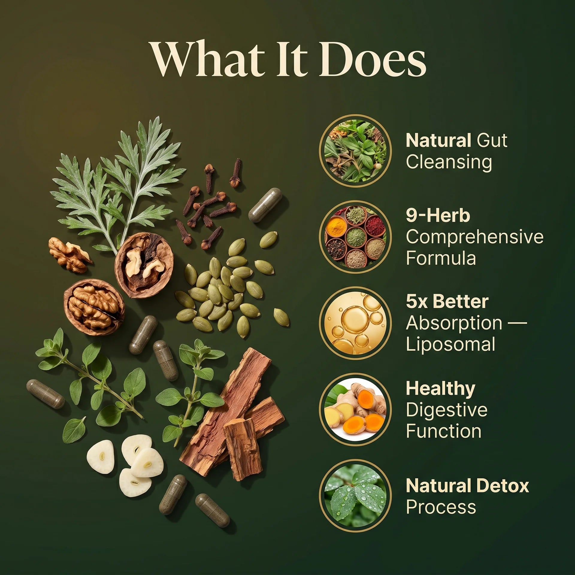 Liposomal herbal parasite and gut detox supplement benefits: natural gut cleansing, 9-herb formula, 5x better absorption and healthy digestive function.